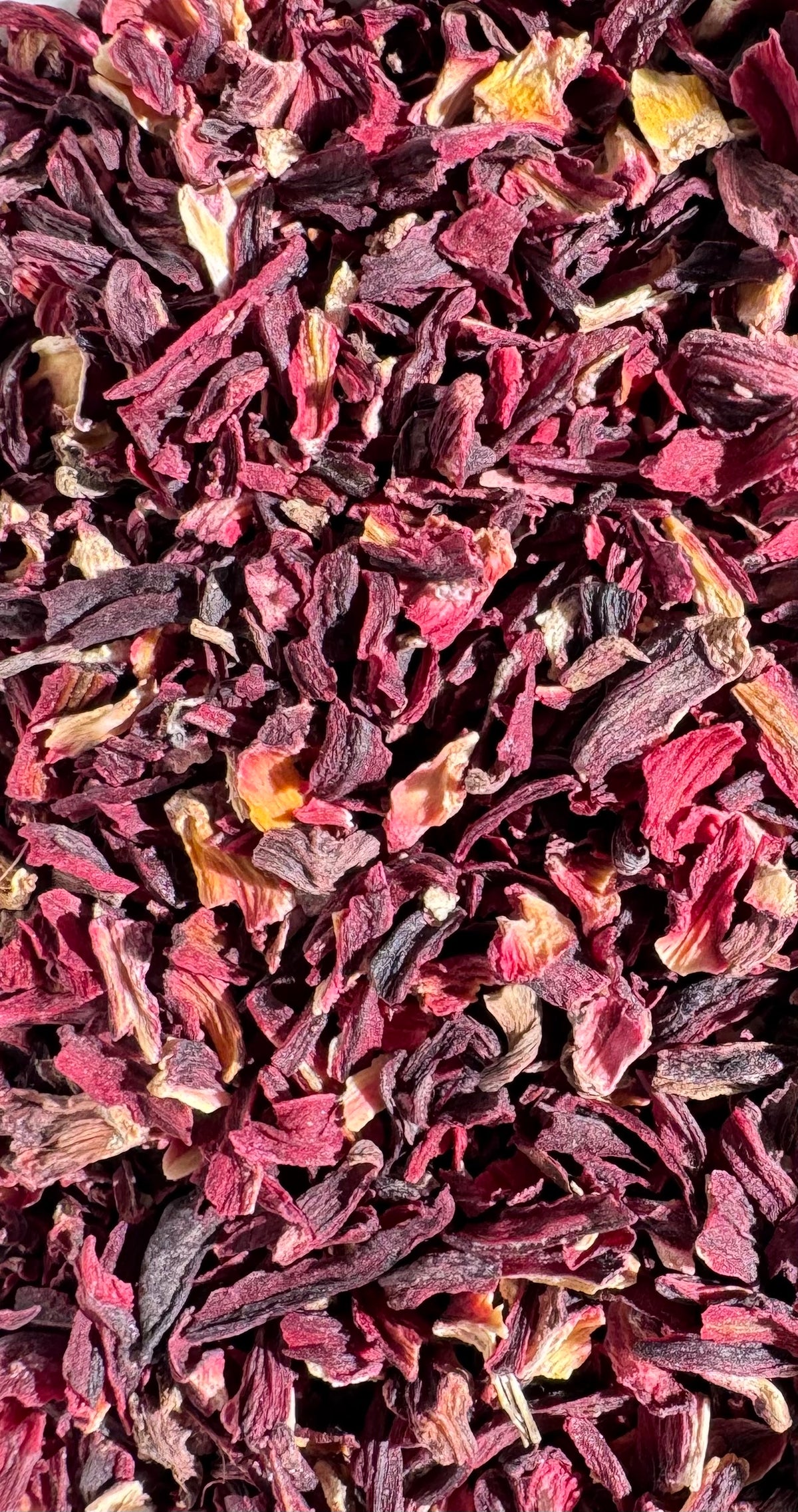 Hibiscus Flowers