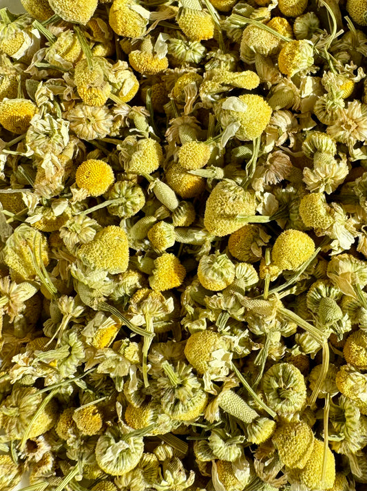 Chamomile Flowers